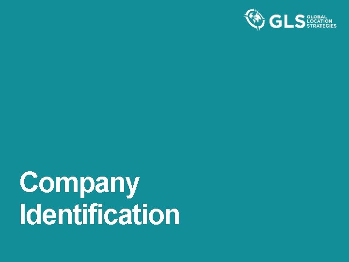 Company Identification 