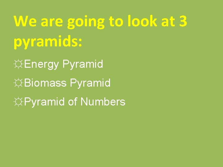 We are going to look at 3 pyramids: ☼Energy Pyramid ☼Biomass Pyramid ☼Pyramid of