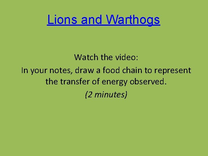 Lions and Warthogs Watch the video: In your notes, draw a food chain to