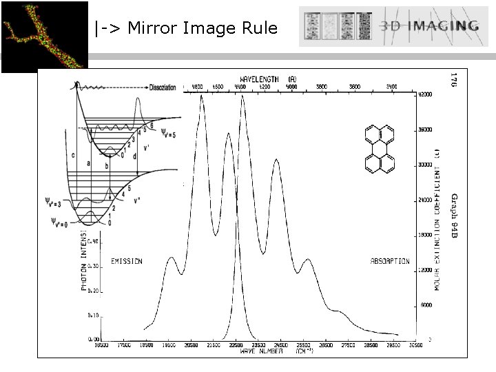 |-> Mirror Image Rule 