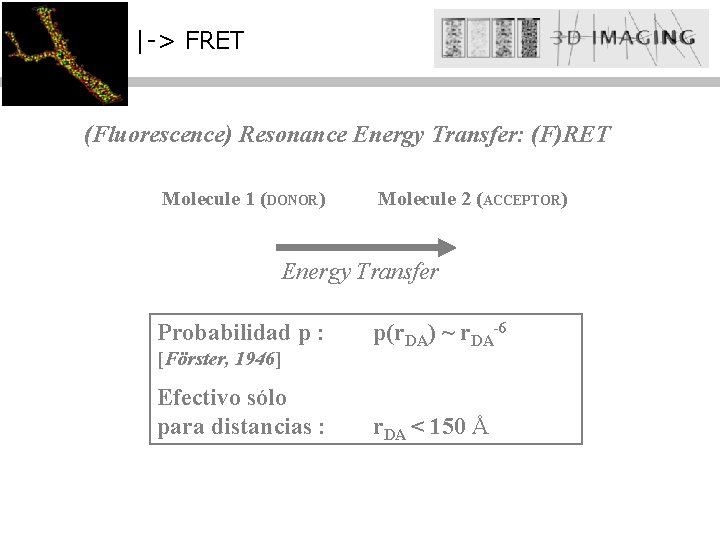 |-> FRET (Fluorescence) Resonance Energy Transfer: (F)RET Molecule 1 (DONOR) Molecule 2 (ACCEPTOR) Energy