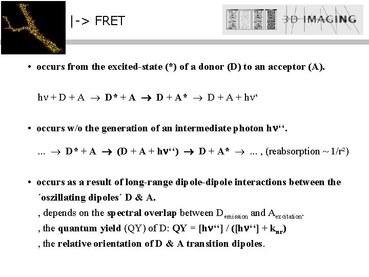 |-> FRET • occurs from the excited-state (*) of a donor (D) to an