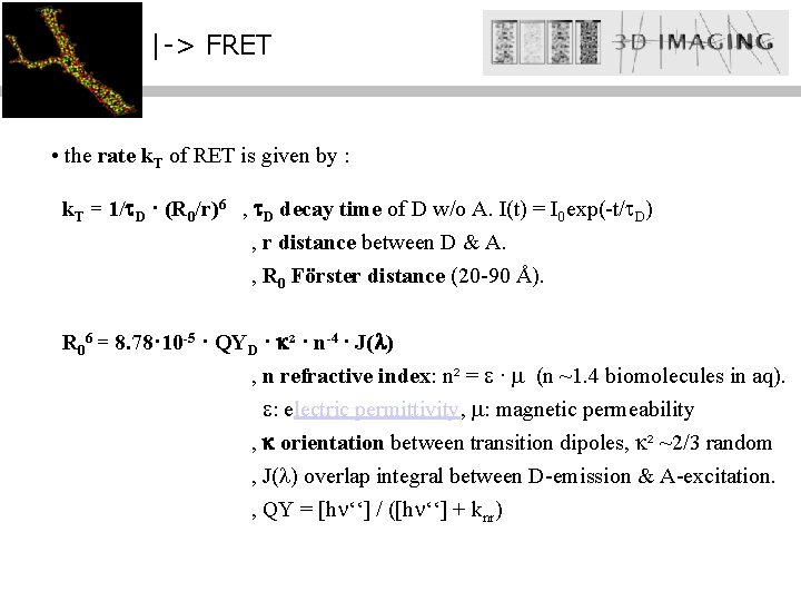 |-> FRET • the rate k. T of RET is given by : k.