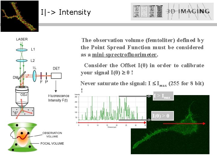 I|-> Intensity The observation volume (femtoliter) defined by the Point Spread Function must be