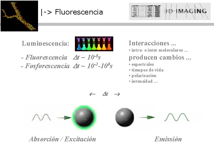 |-> Fluorescencia Luminescencia: Interacciones. . . - Fluorescencia t ~ 10 -8 s -