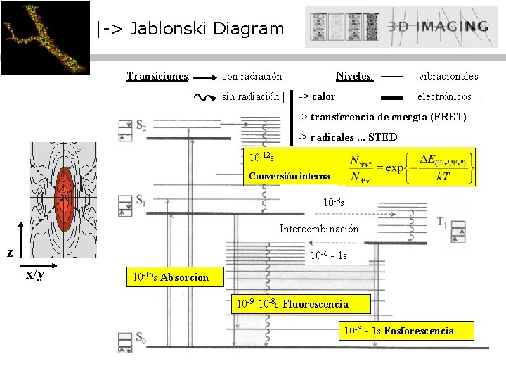 |-> Jablonski Diagram Transiciones: con radiación sin radiación | Niveles: -> calor vibracionales electrónicos