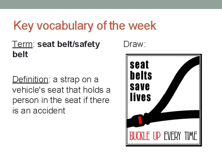 Key vocabulary of the week Term: seat belt/safety belt Definition: a strap on a