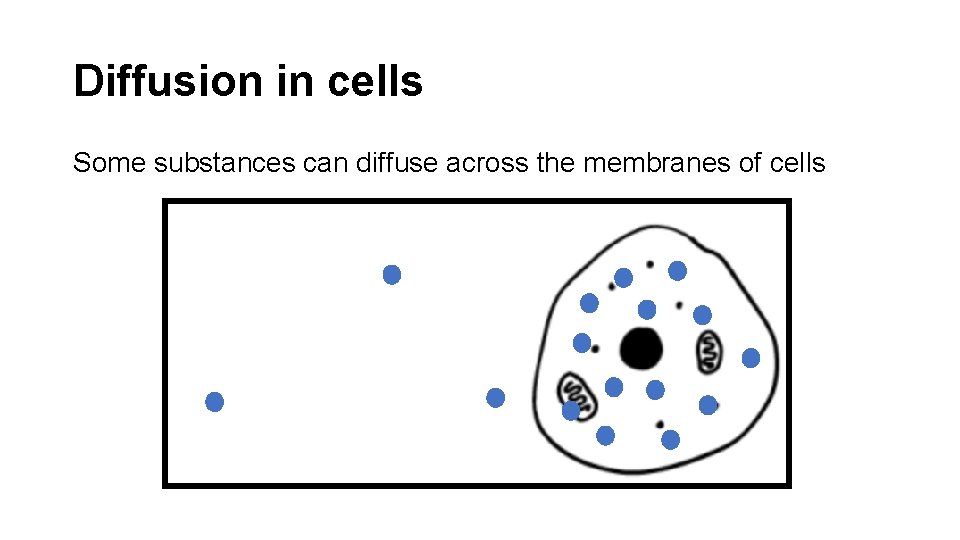 Diffusion in cells Some substances can diffuse across the membranes of cells 