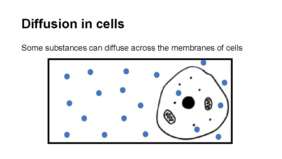 Diffusion in cells Some substances can diffuse across the membranes of cells 