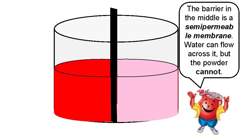 The barrier in the middle is a semipermeab le membrane. Water can flow across