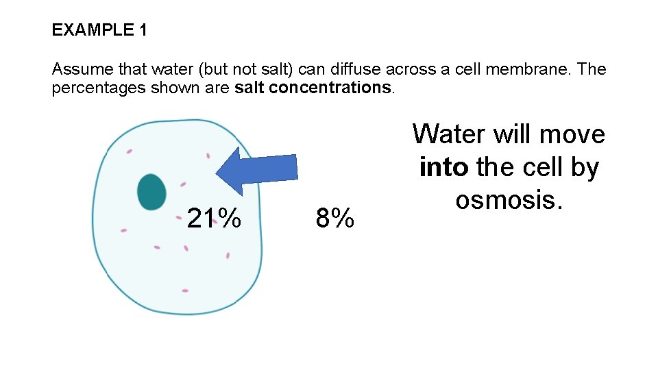 EXAMPLE 1 Assume that water (but not salt) can diffuse across a cell membrane.