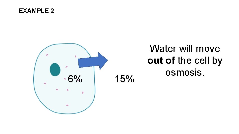 EXAMPLE 2 6% 15% Water will move out of the cell by osmosis. 
