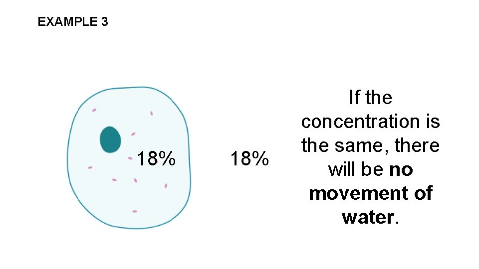 EXAMPLE 3 18% If the concentration is the same, there will be no movement