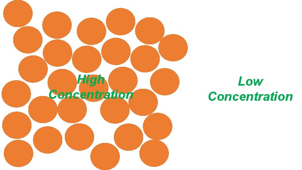 High Concentration Low Concentration 