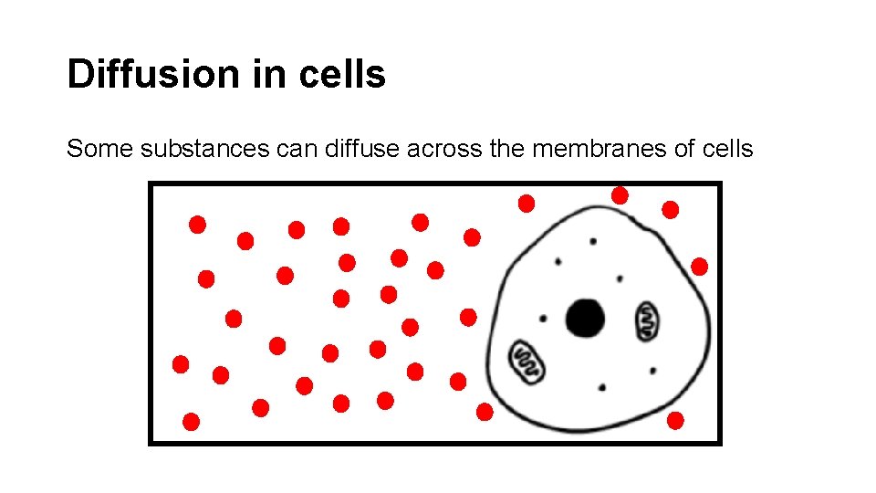 Diffusion in cells Some substances can diffuse across the membranes of cells 