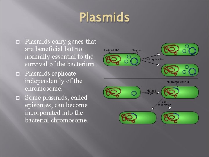 Plasmids Plasmids carry genes that are beneficial but normally essential to the survival of