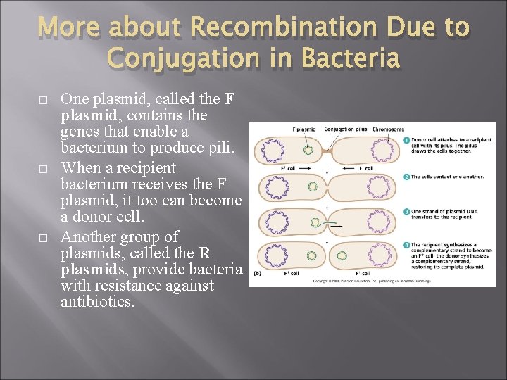 More about Recombination Due to Conjugation in Bacteria One plasmid, called the F plasmid,