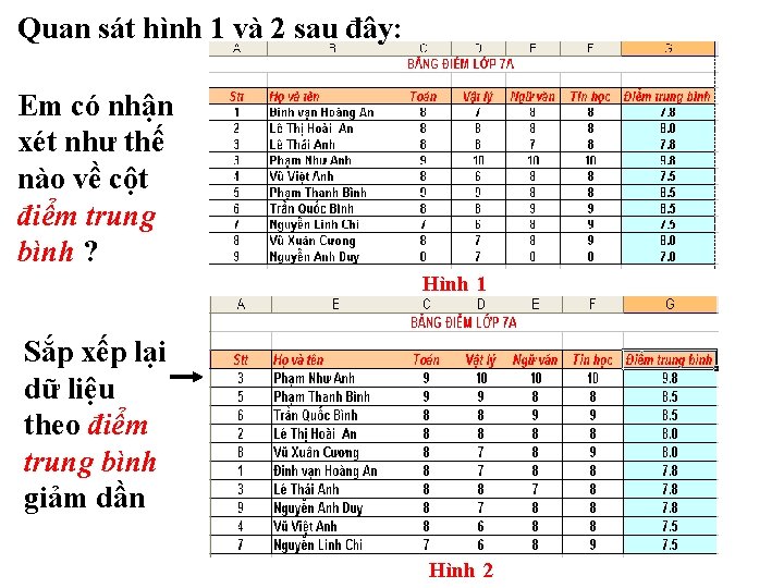 Quan sát hình 1 và 2 sau đây: Em có nhận xét như thế