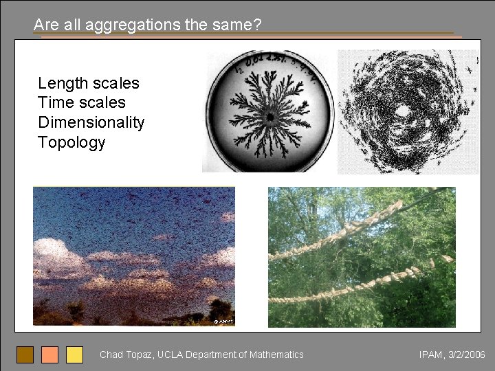 Are all aggregations the same? Length scales Time scales Dimensionality Topology Chad Topaz, UCLA