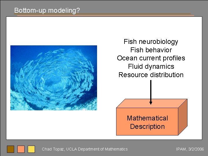 Bottom-up modeling? Fish neurobiology Fish behavior Ocean current profiles Fluid dynamics Resource distribution Mathematical