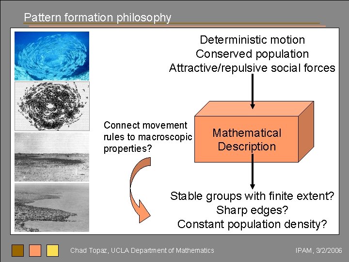Pattern formation philosophy Deterministic motion Conserved population Attractive/repulsive social forces Connect movement rules to