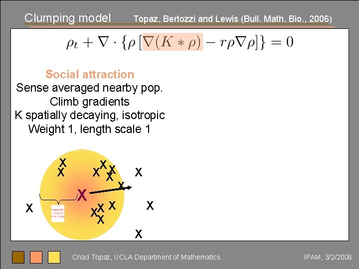 Clumping model Topaz, Bertozzi and Lewis (Bull. Math. Bio. , 2006) Social attraction Sense