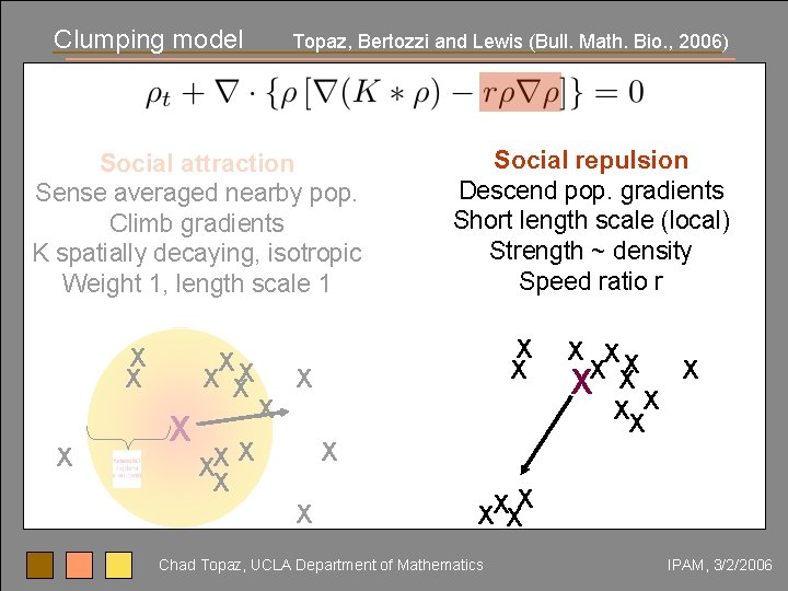 Clumping model Topaz, Bertozzi and Lewis (Bull. Math. Bio. , 2006) Social attraction Sense
