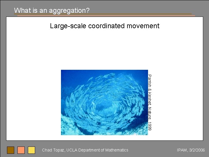 What is an aggregation? Large-scale coordinated movement Parrish & Keshet, Nature, 1999 Chad Topaz,