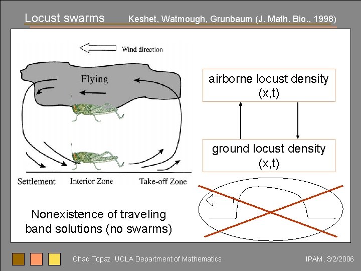 Locust swarms Keshet, Watmough, Grunbaum (J. Math. Bio. , 1998) airborne locust density (x,