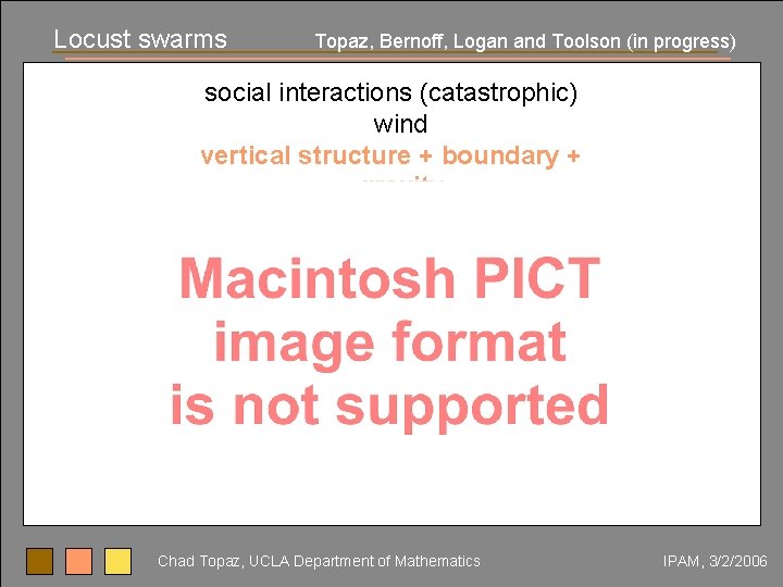 Locust swarms Topaz, Bernoff, Logan and Toolson (in progress) social interactions (catastrophic) wind vertical