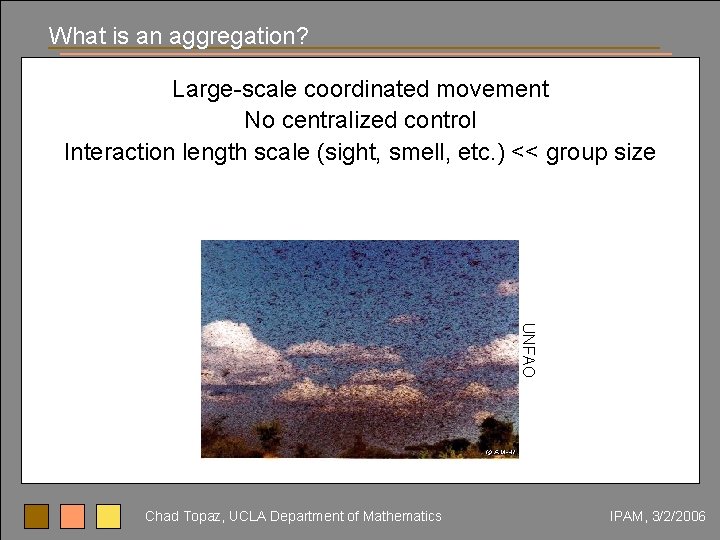 What is an aggregation? Large-scale coordinated movement No centralized control Interaction length scale (sight,