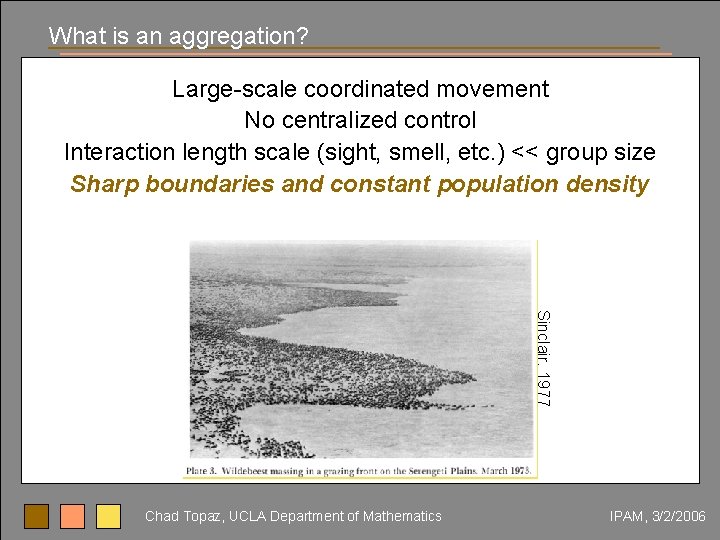 What is an aggregation? Large-scale coordinated movement No centralized control Interaction length scale (sight,