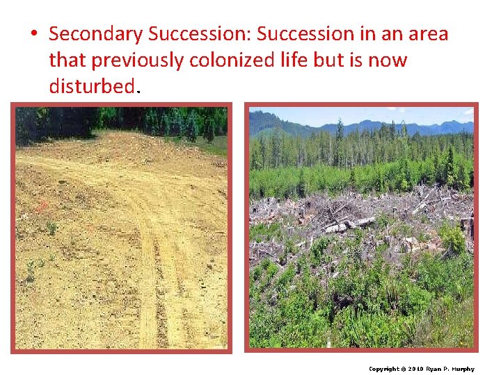  • Secondary Succession: Succession in an area that previously colonized life but is