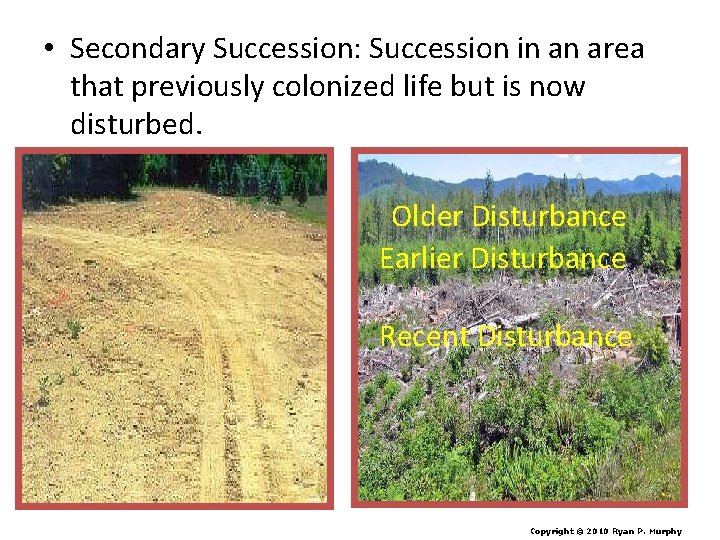  • Secondary Succession: Succession in an area that previously colonized life but is