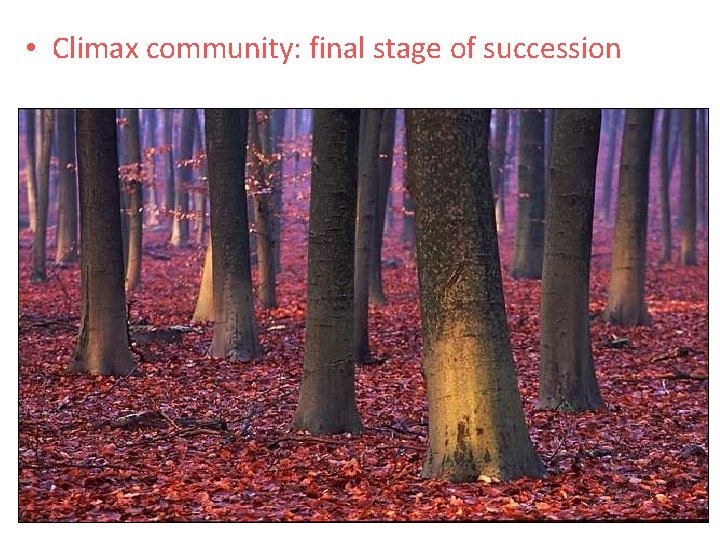  • Climax community: final stage of succession 
