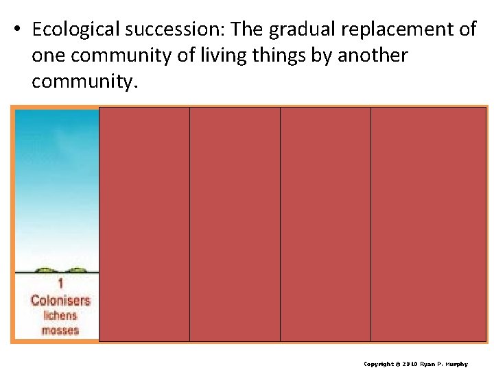  • Ecological succession: The gradual replacement of one community of living things by