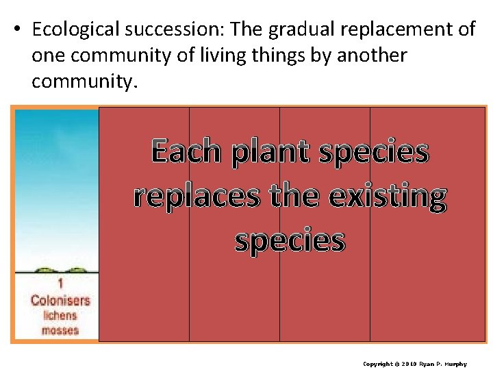  • Ecological succession: The gradual replacement of one community of living things by