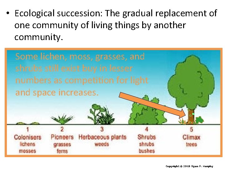  • Ecological succession: The gradual replacement of one community of living things by