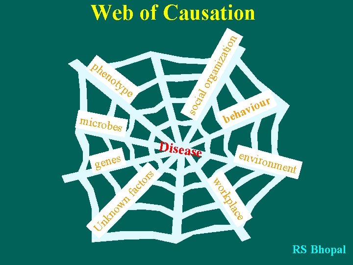 zat ion Web of Causation en o org ani ph typ soc ial e