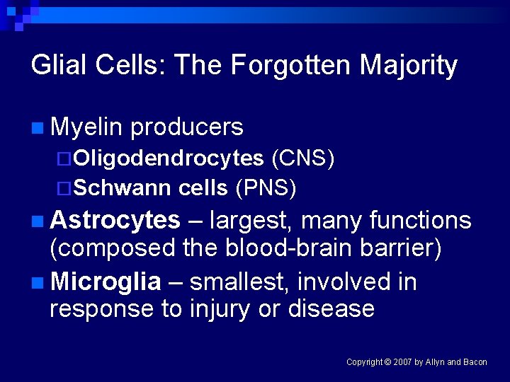 Glial Cells: The Forgotten Majority n Myelin producers ¨Oligodendrocytes (CNS) ¨Schwann cells (PNS) n