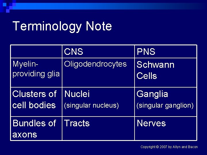 Terminology Note CNS Myelin. Oligodendrocytes providing glia PNS Schwann Cells Clusters of Nuclei cell