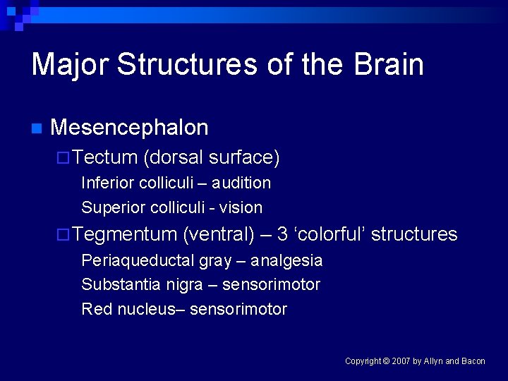 Major Structures of the Brain n Mesencephalon ¨ Tectum (dorsal surface) Inferior colliculi –