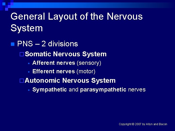 General Layout of the Nervous System n PNS – 2 divisions ¨ Somatic §