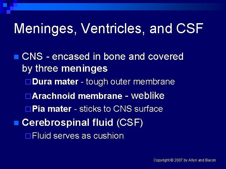 Meninges, Ventricles, and CSF n CNS - encased in bone and covered by three