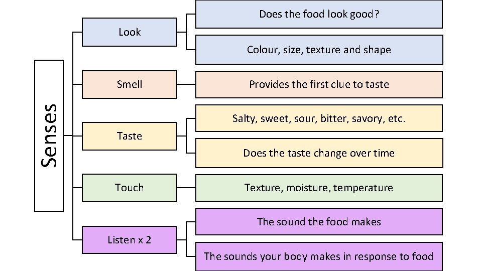Does the food look good? Look Colour, size, texture and shape Senses Smell Provides