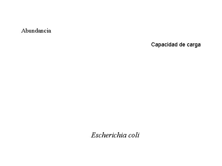 Abundancia Capacidad de carga Escherichia coli 