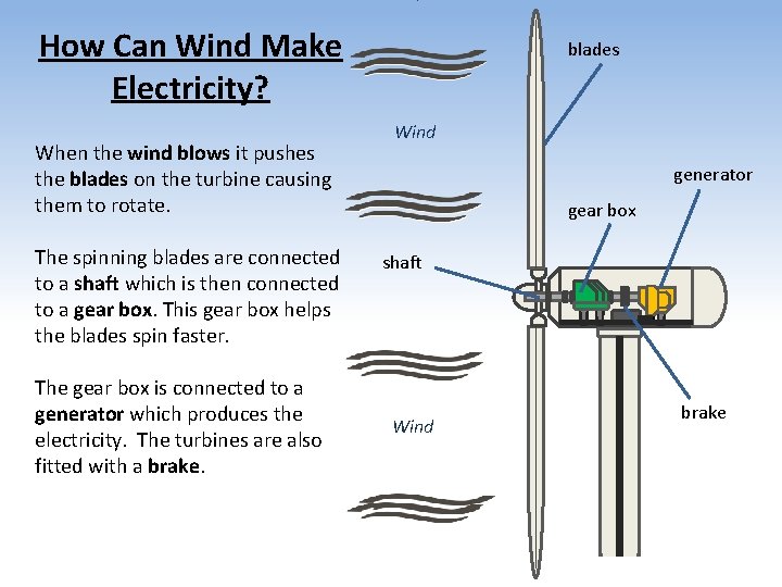 How Can Wind Make Electricity? When the wind blows it pushes the blades on