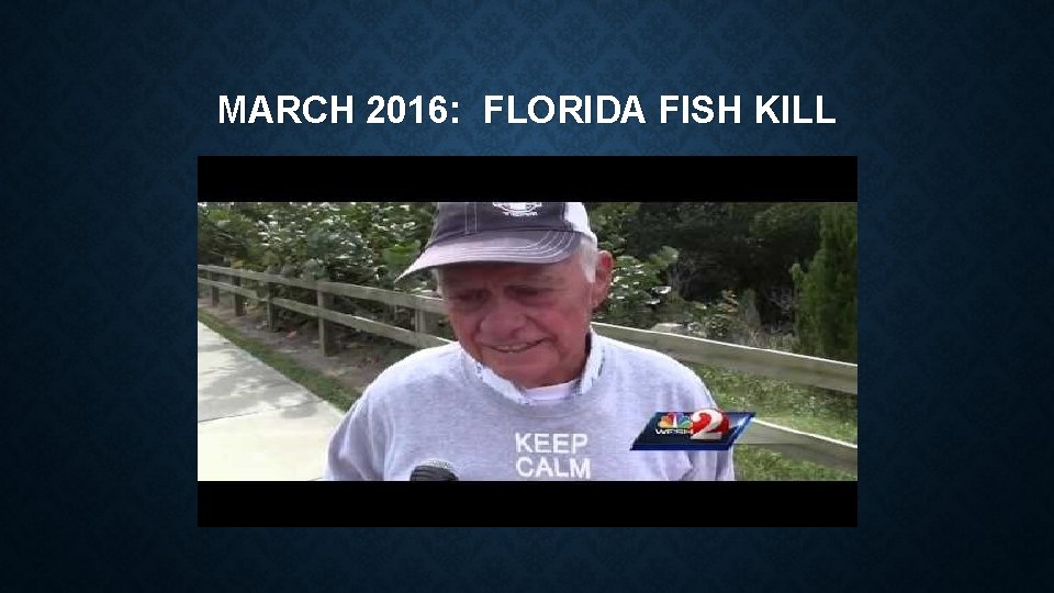 MARCH 2016: FLORIDA FISH KILL 