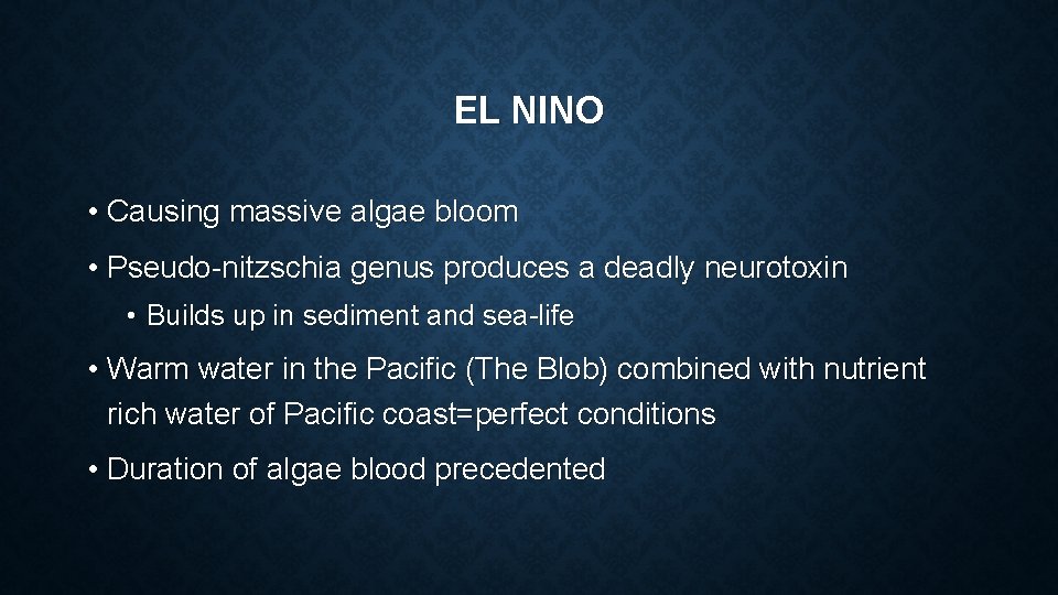 EL NINO • Causing massive algae bloom • Pseudo-nitzschia genus produces a deadly neurotoxin
