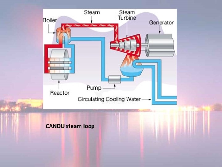 CANDU steam loop CANDU steam loop